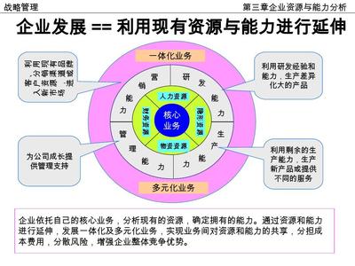 企业资源与能力分析 打造核心竞争力的基石
